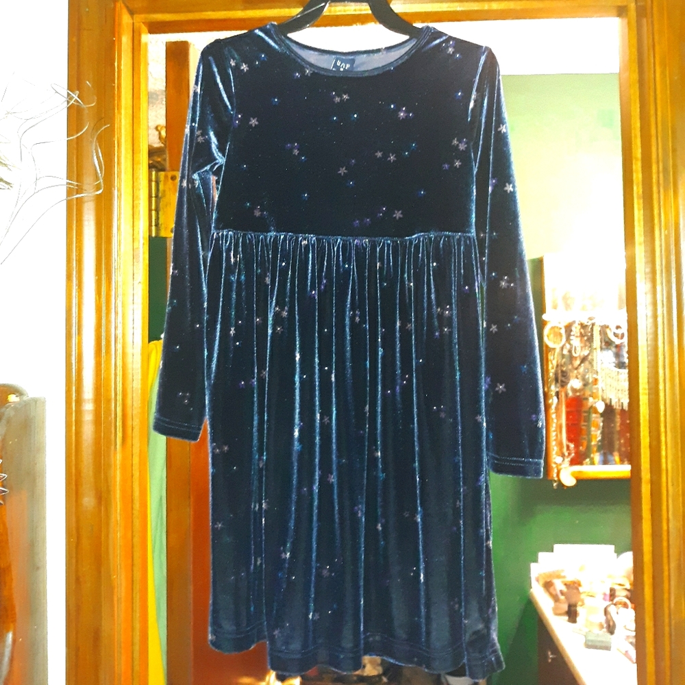 GAP velvet floral dress